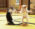 12F1G3ylb5mK7m.gif