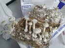 20220106_083249.jpg