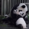 11eEqDOS5Hoe4.gif 11eEqDOS5Hoe4.gif