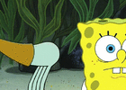 Oc9I8SLZ0FqYU.gif