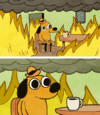9M5jK4GXmD5o1irGrF.gif