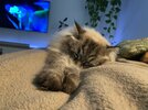 IMG_0841.jpeg