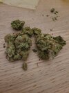 20220129_002554.jpg