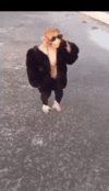 1643412422390.gif