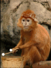 1643412434532.gif