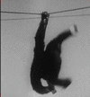 43nZCD3lLbri0.gif