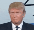 giphy.gif giphy.gif