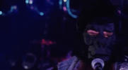 l1J9AFFQrGhLE4IiQ.gif