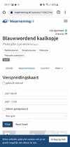 Screenshot_20220201-185725_Chrome.jpg