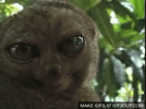 hGwvzBNwXDwlO.gif