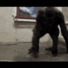 F38647CF-F955-4821-B562-284A2647A75A.gif