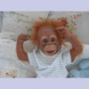 DpEqDv65gznm8.gif