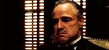 KQER23aFnrfSU.gif