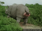 mTTYiPUZF28PC.gif
