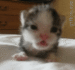 1644288220461.gif