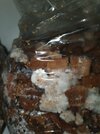 20220214_095723.jpg
