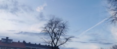 1647543695335.png