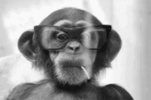 1649587469536.gif