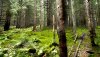 5D0442D6-7CBE-4DF7-AC1F-6D56AFBE5384.jpeg