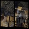 IMG_2019-12-16_15-19-41.JPG