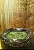 IMG_20200114_152152.jpg