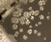 51C663D8-08DD-4F67-B65B-6CA503B60976.jpeg