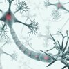 g-neuron-56a792cd5f9b58b7d0ebd043.jpg