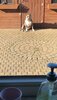 IMG-20191110-WA0006.jpg