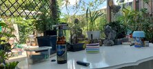 20220424_135036.jpg