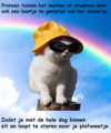 1652254037950.png