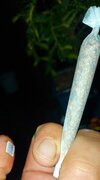 20220513_231830.jpg