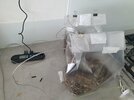 20220526_102620.jpg