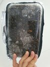 20220617_085856.jpg