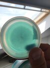 20220619_145005.jpg