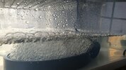 20220624_120704.jpg