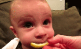 Sour-Lemon.gif