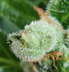 IMG_20220802_203638.jpg