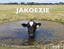 C88AEE09-1FF3-47CC-8101-E81C09C2ACFF.jpeg