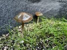 IMG20220907090630.jpg