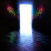 dmt door 9.jpeg