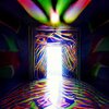 dmt door 10.jpeg