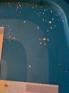 32904ADD-E170-4C1C-B632-5800CD6672DB.jpeg