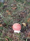 IMG_20221004_140250856.jpg