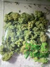 DBDDF1BB-2ABC-422F-BDA6-E8FA4ADD265E.jpeg