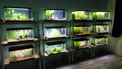 image-25-11-2021_18-36-13-13.jpg