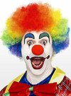 clown-nose--mw-100427-1.jpg