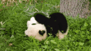 1676672797616.gif