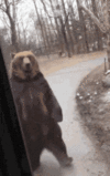 1676673766786.gif