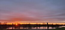 20230228_073024.jpg