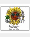 FB_IMG_1678995152794.jpg